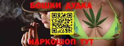 Альфа ПВП Дубна